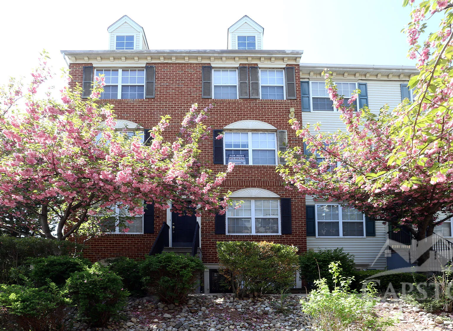 Society Hill - Tripl... — Photo 2