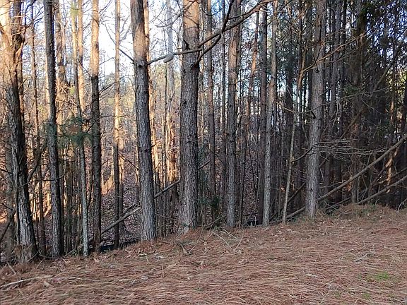 5th image of 5185 Marie Trce