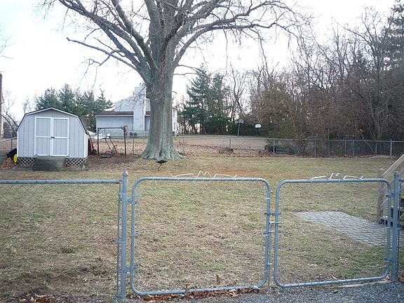 Storage shed and large shade tree