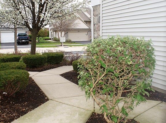 3rd image of 137 W Buckingham Dr