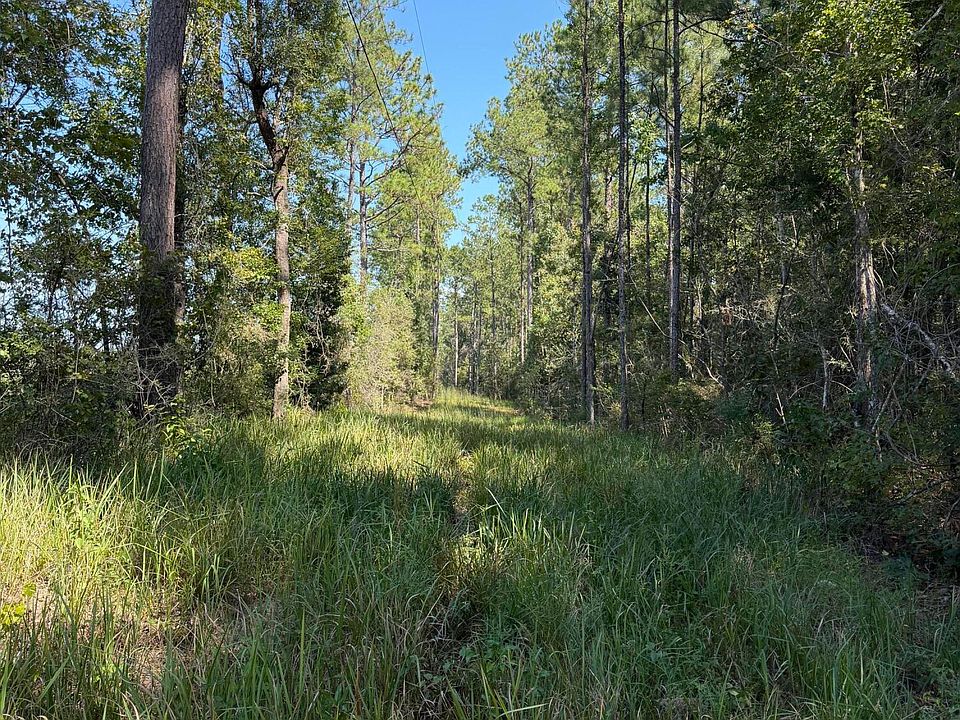 2nd image of Firth Littlefield Rd
