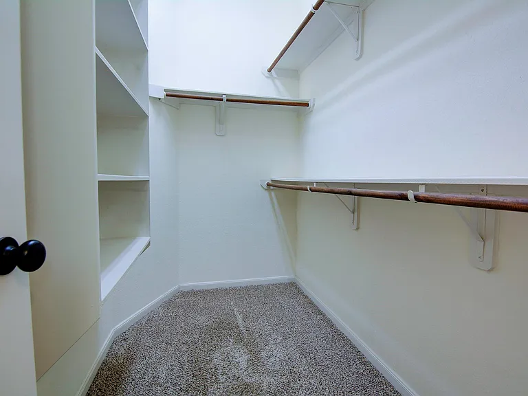 222 Cheswood Forest Pl — Photo 31