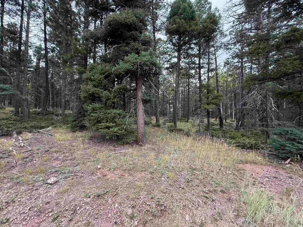 LOT 173 Snowbird Ln, Angel Fire, NM 87710