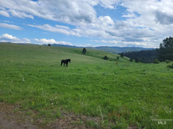 None Rice Creek Jeep Trl, Cottonwood, ID 83522