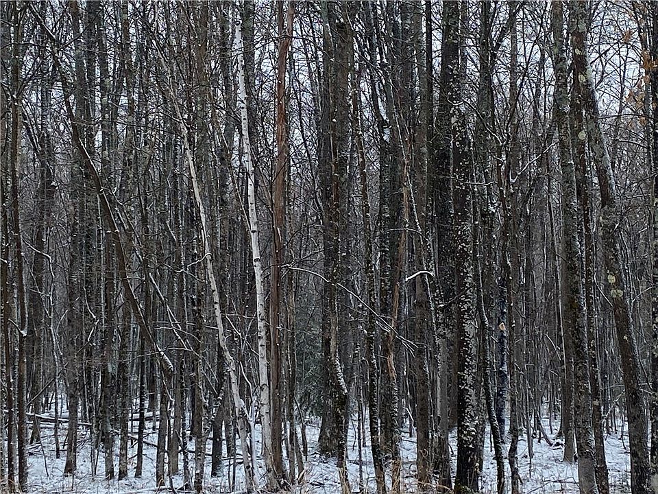 1st image of Near Seven Mile Road