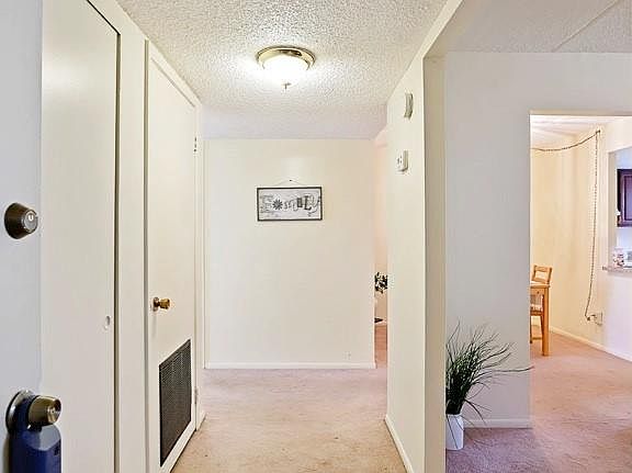 3rd image of 1317 84th Ave N APT A
