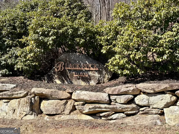 41 Yellow Trillium Ln, Clayton, GA 30525