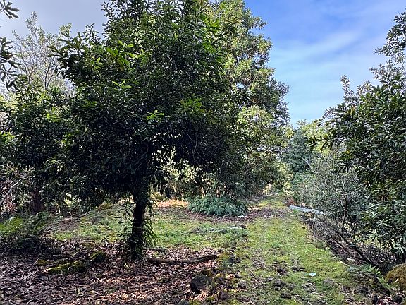 2nd image of 84-5052 Hawaii Belt Rd