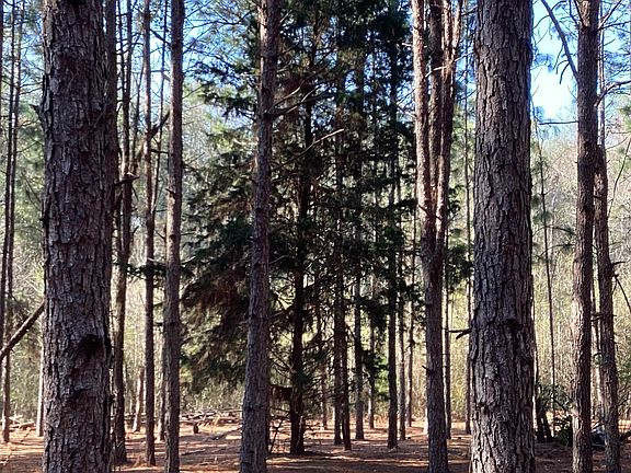 2nd image of 108 Carlisle Rd