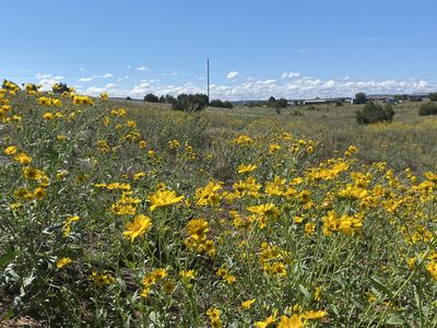 Pioneer Rd, Edgewood, NM, 87015
