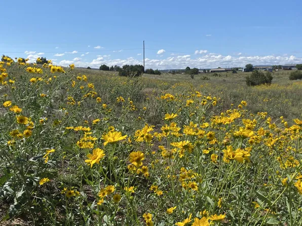 Pioneer Rd, Edgewood, NM 87015
