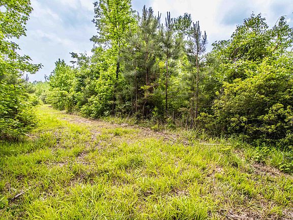 5th image of 962 Cowpen Rd