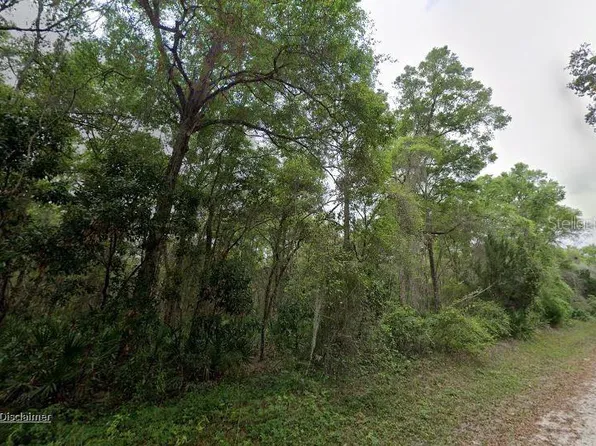 88 NE 463rd Ave Lot 9, Old Town, FL 32680