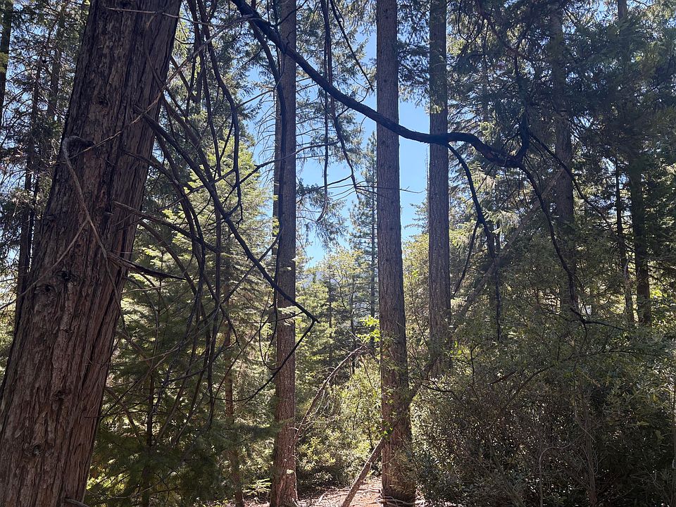 1st image of Castle Lake Rd