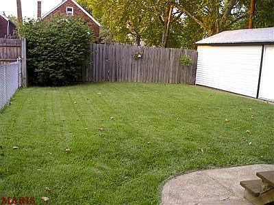 Green, beautiful Zoysia