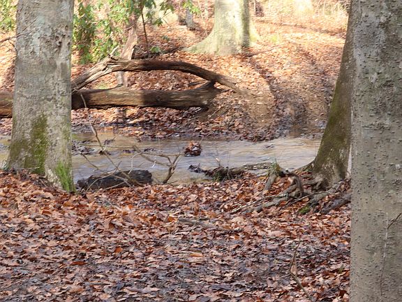 2nd image of Tbd Big Hill Rd