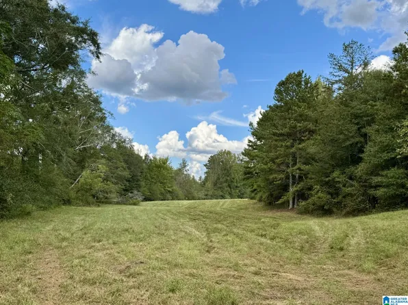 0 Highway 48 #0, Lineville, AL 36266