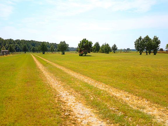 5th image of 3869 County Road 815