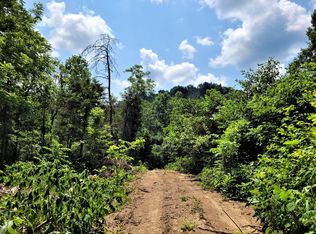 0 Little Pumpkin Valley Rd, Eidson, TN 37731