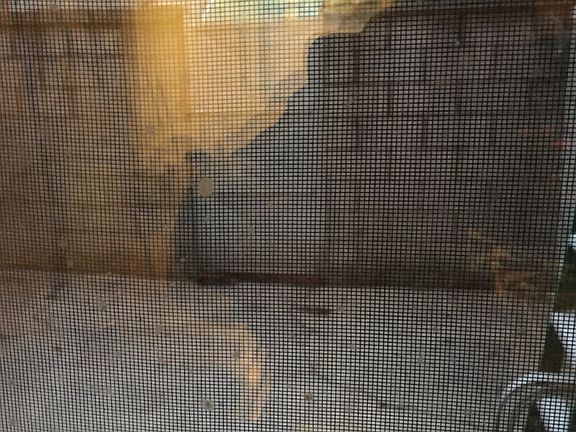 2nd image of 2326 S Beulah St