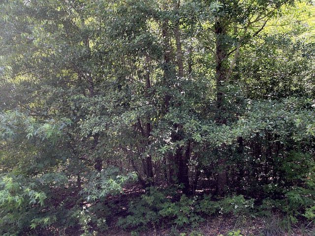 2nd image of 355 Macedonia Rd