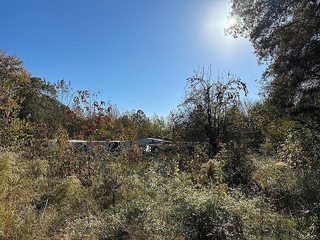 2nd image of 496 Zion Church Rd