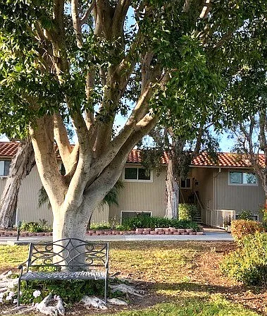 2 bed, 1057 sqft, $2,800 — Photo 2