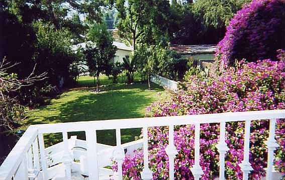 Overlooking backyard.