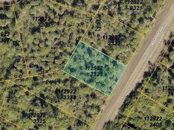 ROYALRED AVENUE LOT 23, NORTH PORT, FL 34288