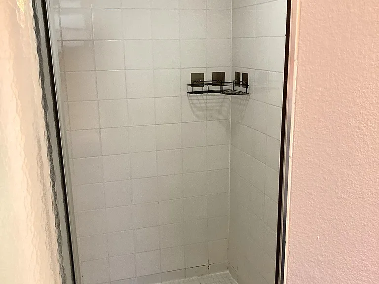 Master Shower_10122022