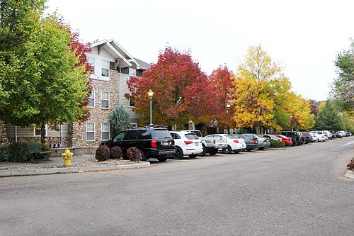 Gorgeous mature trees cover the building