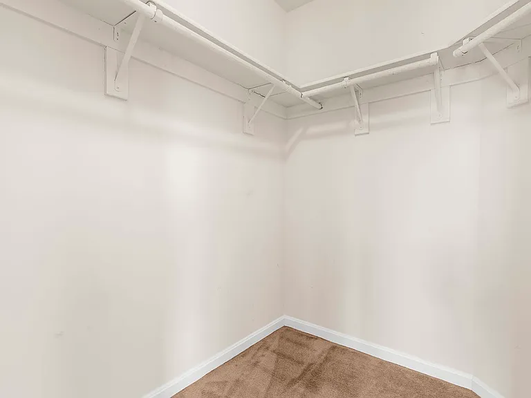 Walk in Closet (Master)