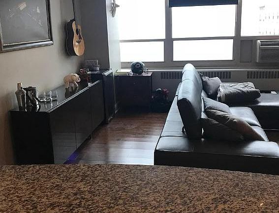 4th image of 3950 N Lake Shore Dr APT 2317