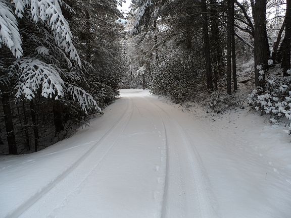 Rare snow on Driveway
