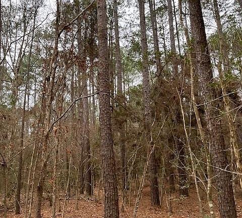 5th image of Off Of County Rd #2580