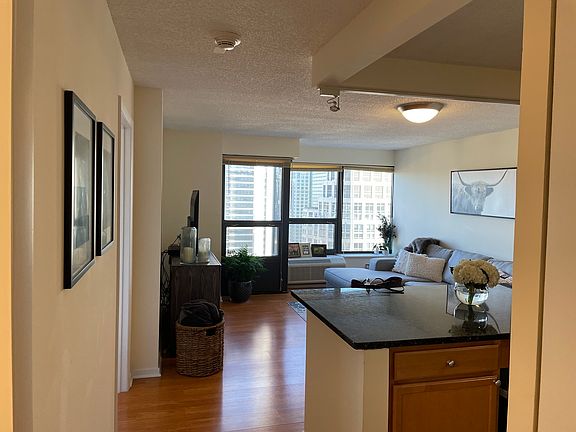 3rd image of 30 E Huron St APT 3508