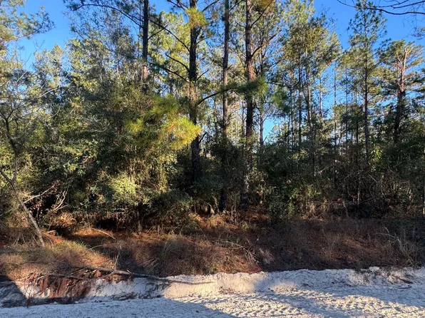 Tbd 14th Path, Live Oak, FL 32060