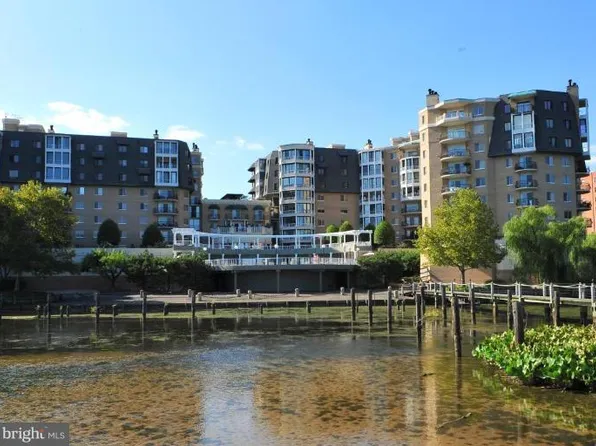 1250 S Washington St Unit 824, Alexandria, VA 22314