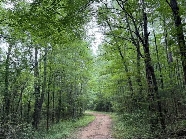 0 Highway 37 #0, Columbiana, AL 35051