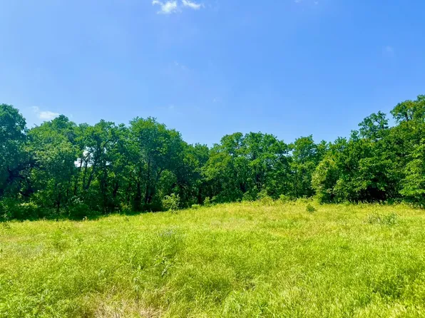 LOT 42 Sarra Ln, Poolville, TX 76487