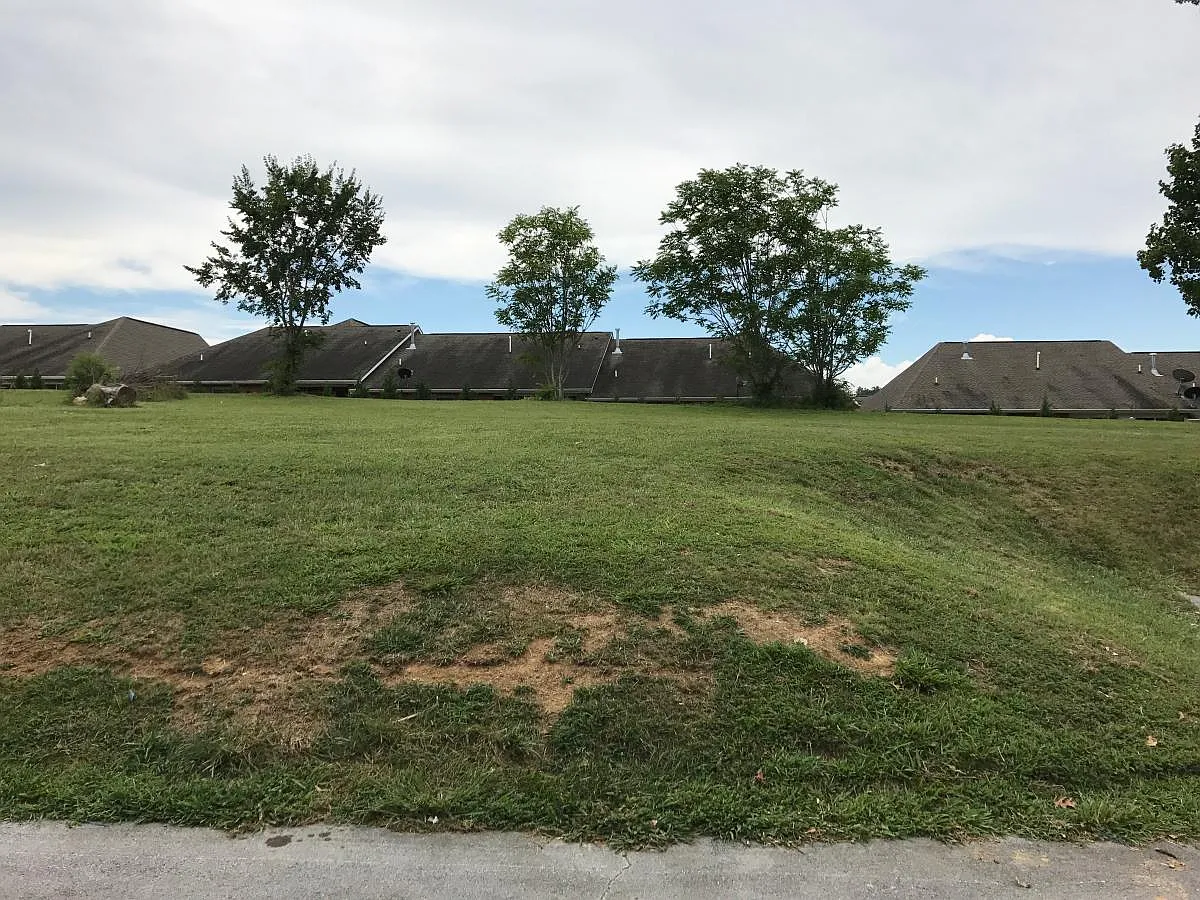 2 bed, 1200 sqft, $1,200 — Photo 1
