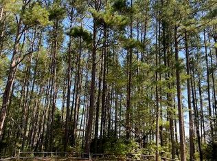 16 Titmouse Ct, Wagram, NC 28396