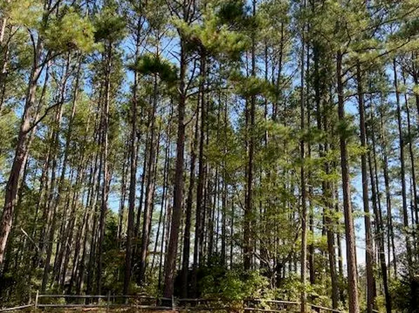 16 Titmouse Court, Wagram, NC 28396