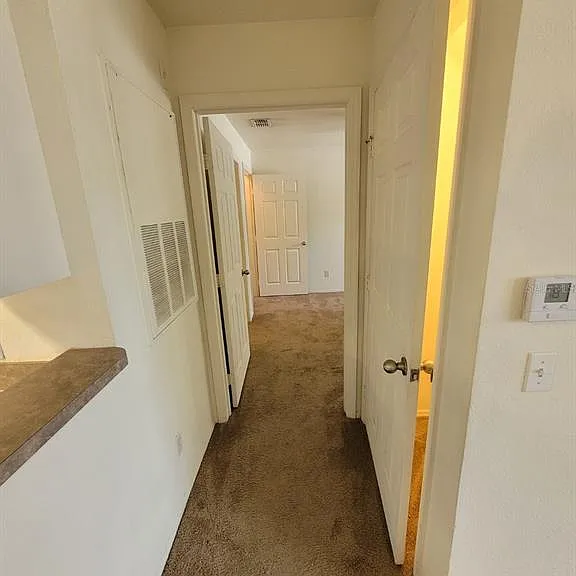 5914 Willow Ridge Dr #101 — Photo 13