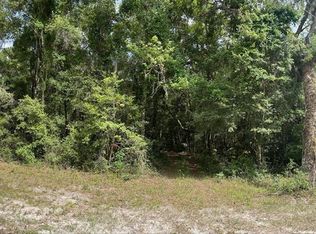 293 NE 405th St, Cross City, FL 32628