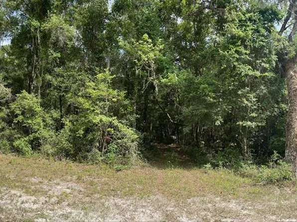 293 NE 405th St, Cross City, FL 32628