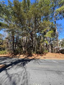 Lot 79 Brandon Way, Georgetown, SC, 29440