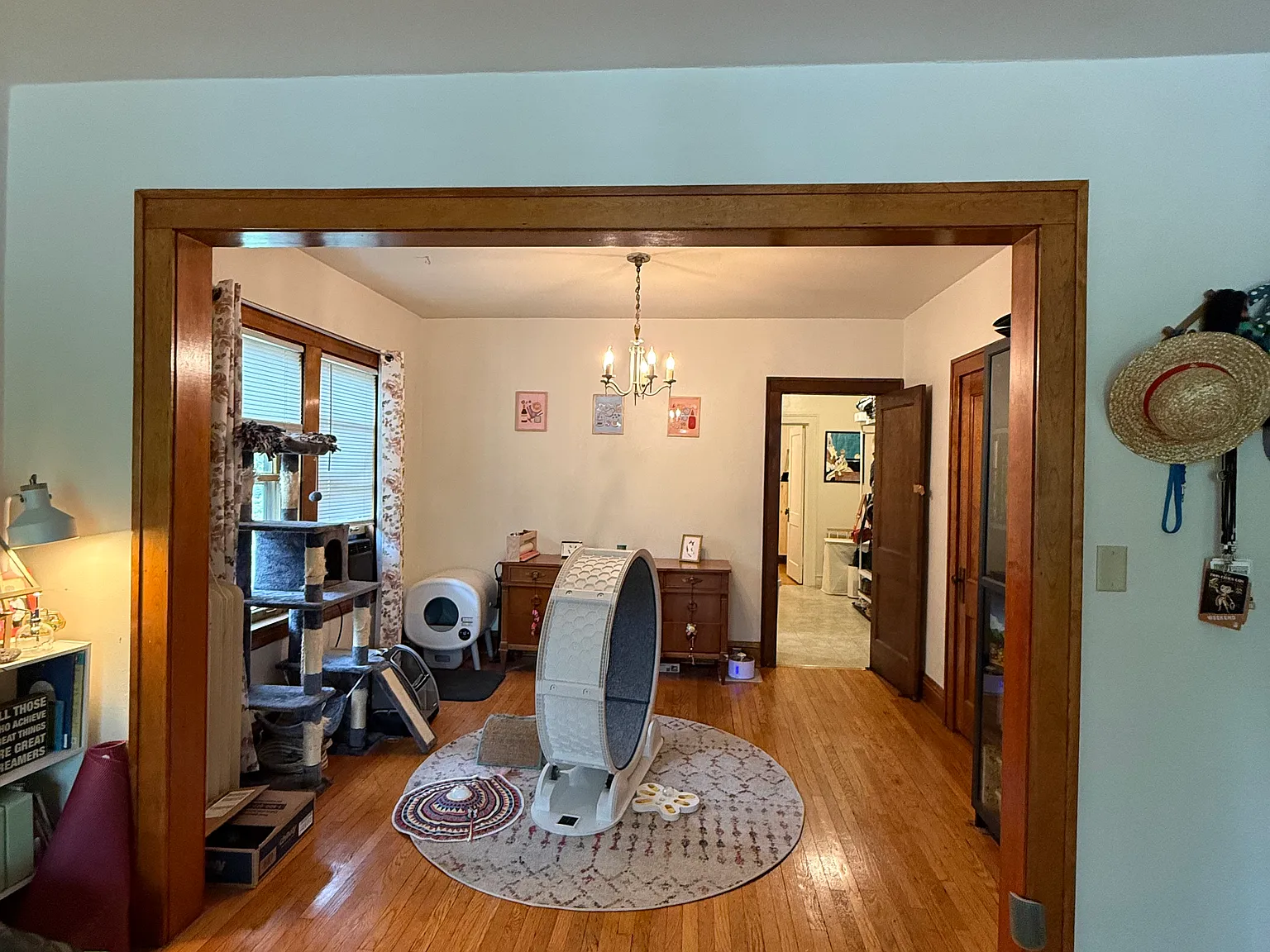 1 bed, $1,249 — Photo 3