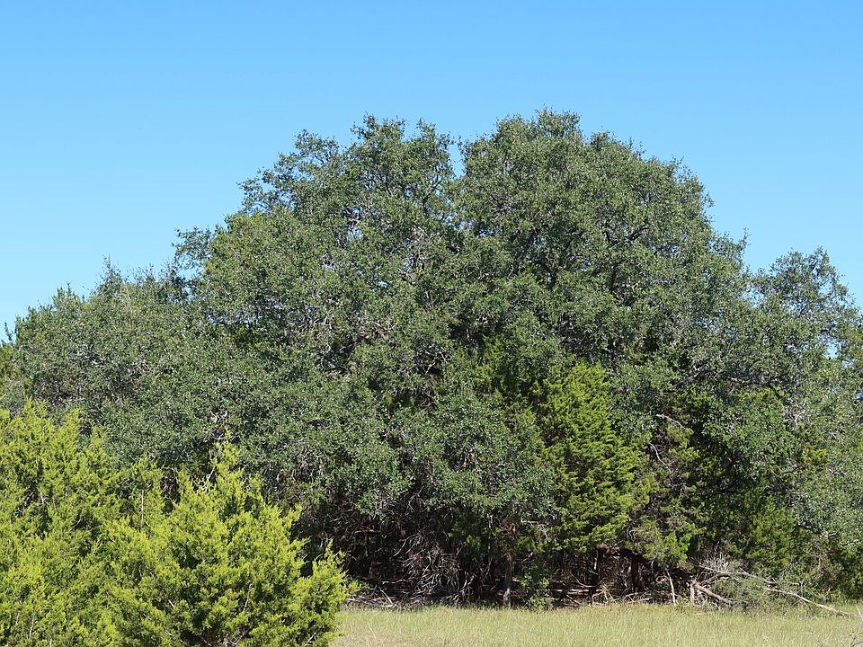1st image of TBD 50 ACRES Wharton Dock Rd