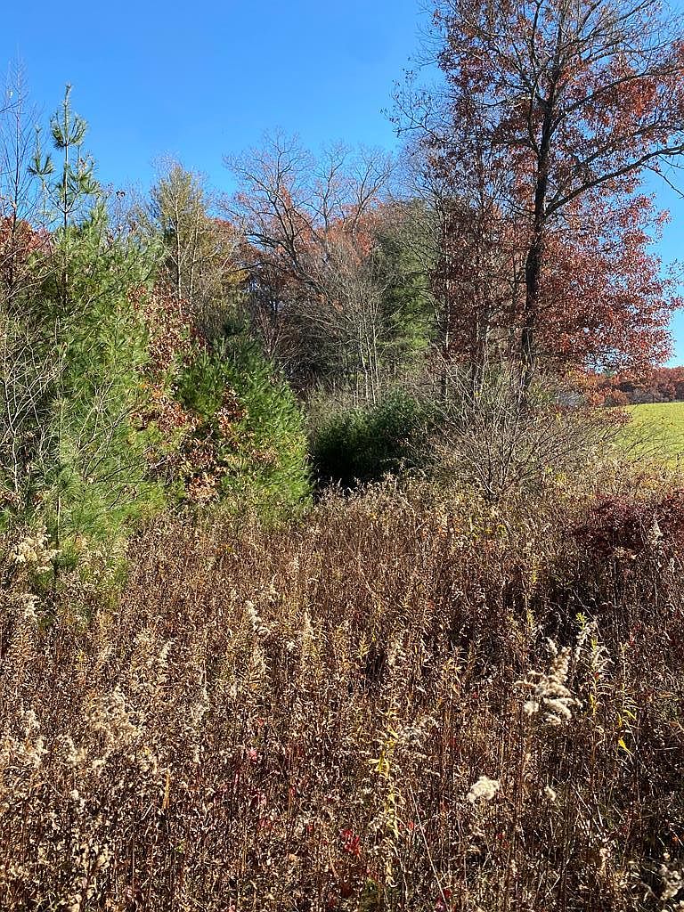 Harmies Bottom Rd, Laurel Fork, VA 24352 Zillow